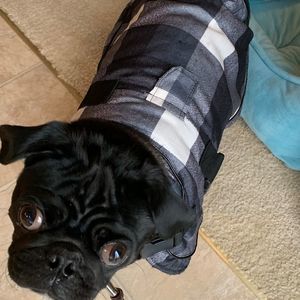 Meet your Posher, Christy